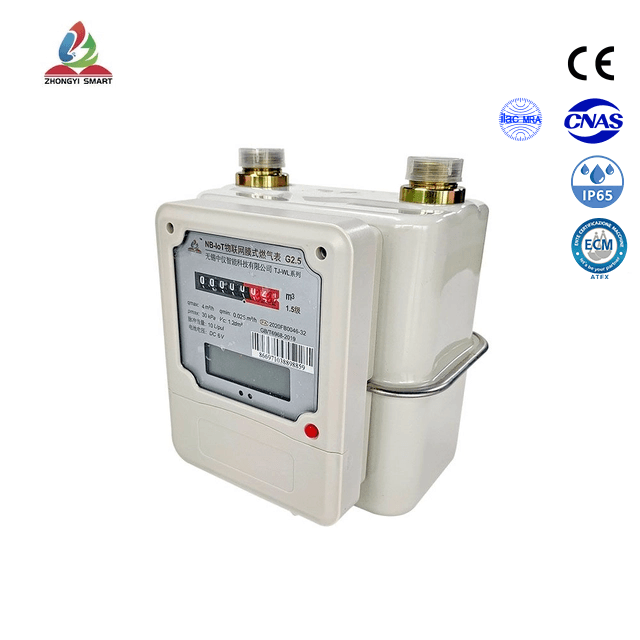 Smart steel shell membrane gas meter